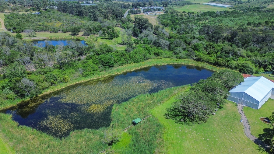 Commercial Property for Sale in Crossways Eastern Cape